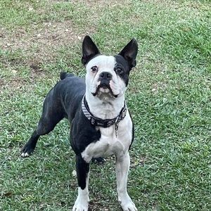 Meet your Posher, Kelley